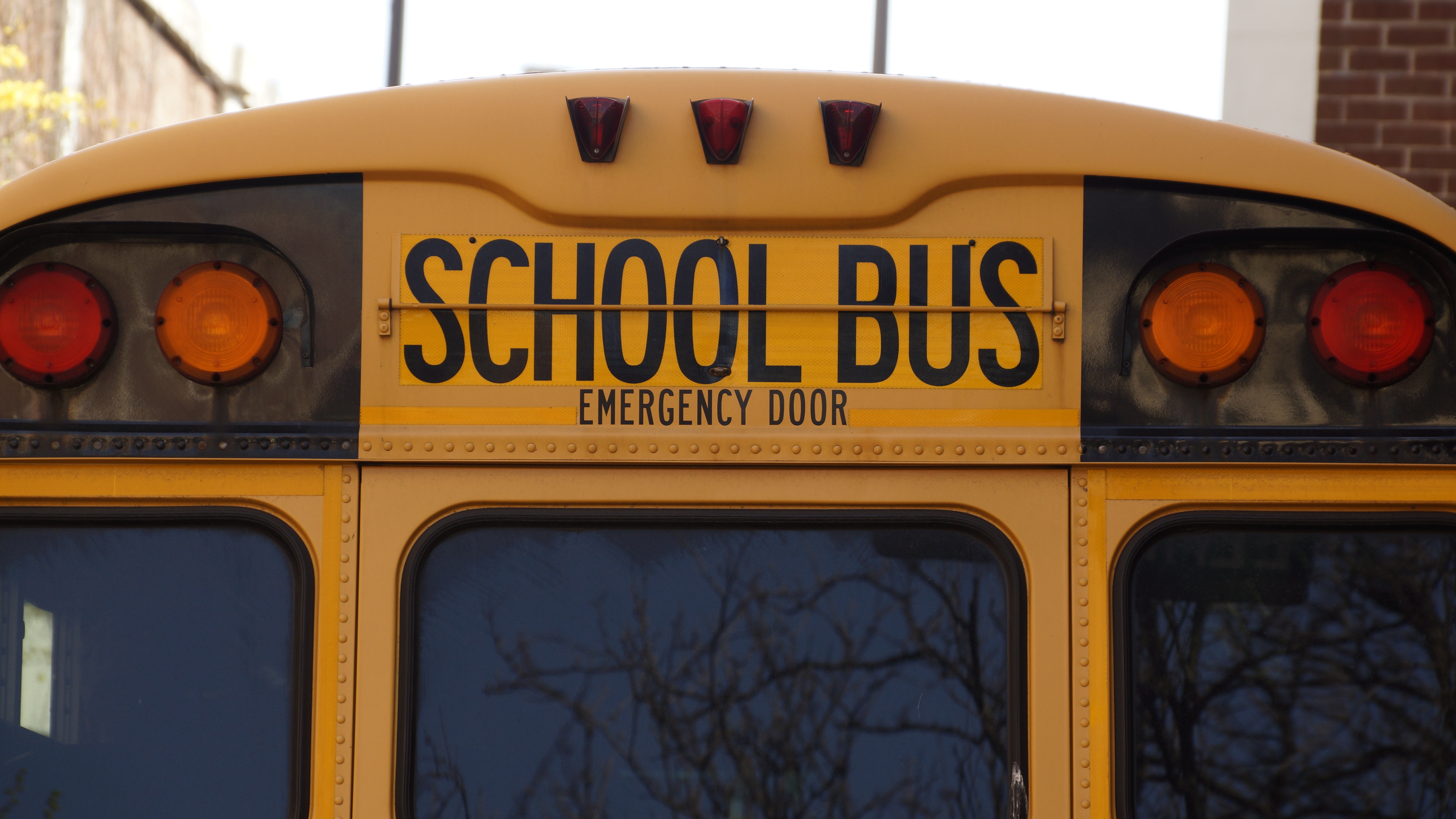 Top of a school bus.