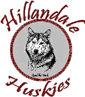 huskies