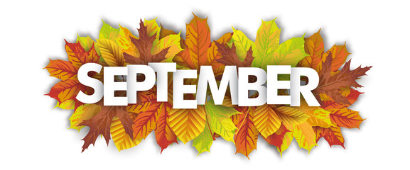 This is a picture of leaves with the word September on it