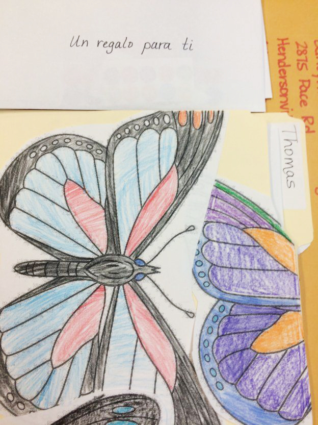 Two cutout drawings of butterflies. One is Black blue and red, and the other is blue purplew green and orange