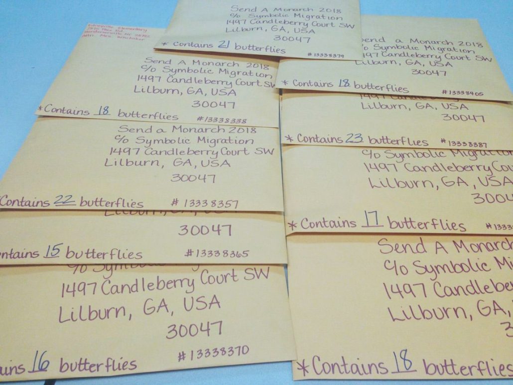 Addressed envelopes with text contains butterflies