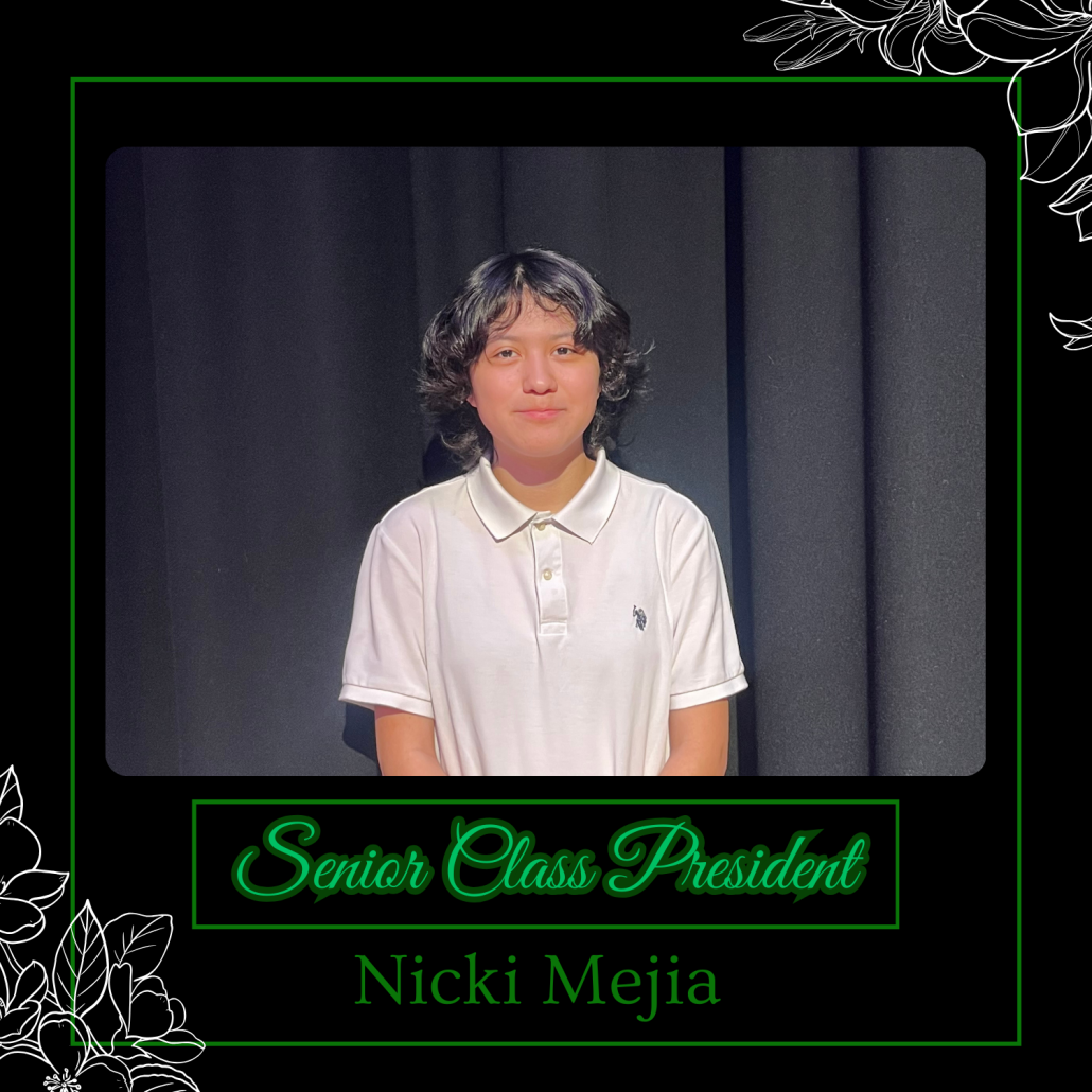Nicki M in election frame