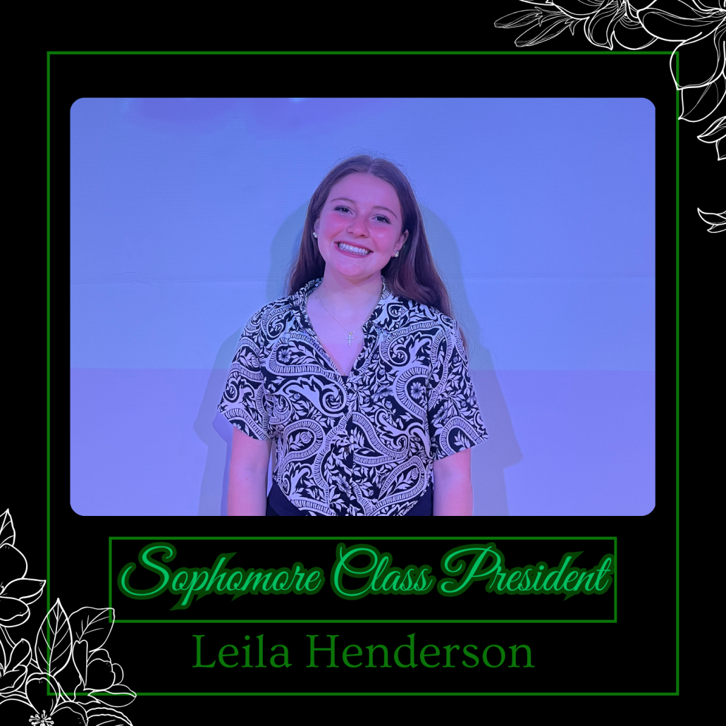 Leila H in election frame