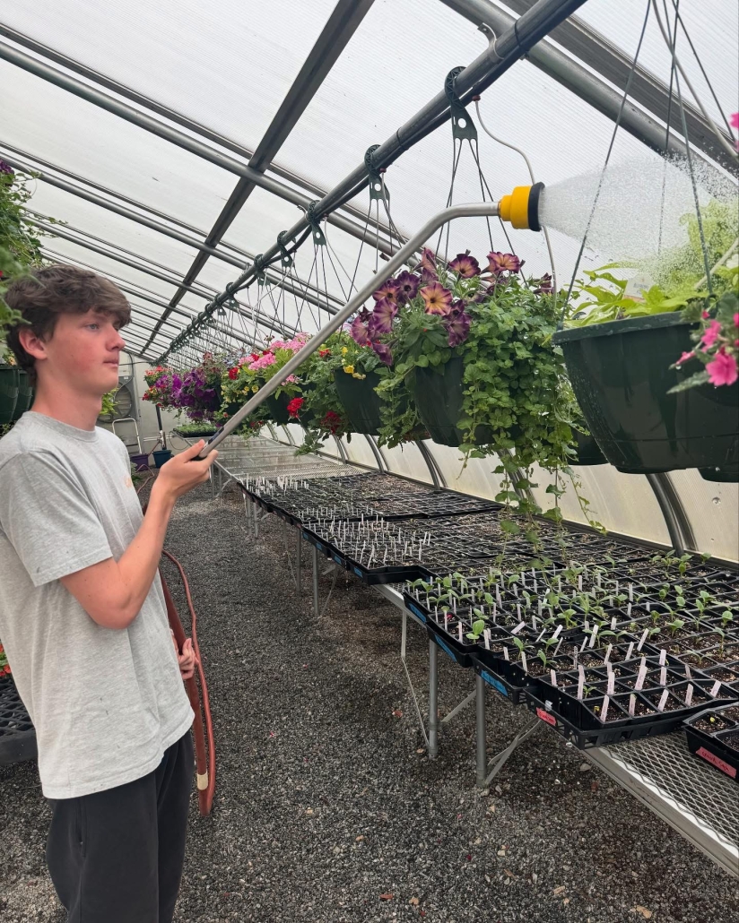 student watering hanging plant
