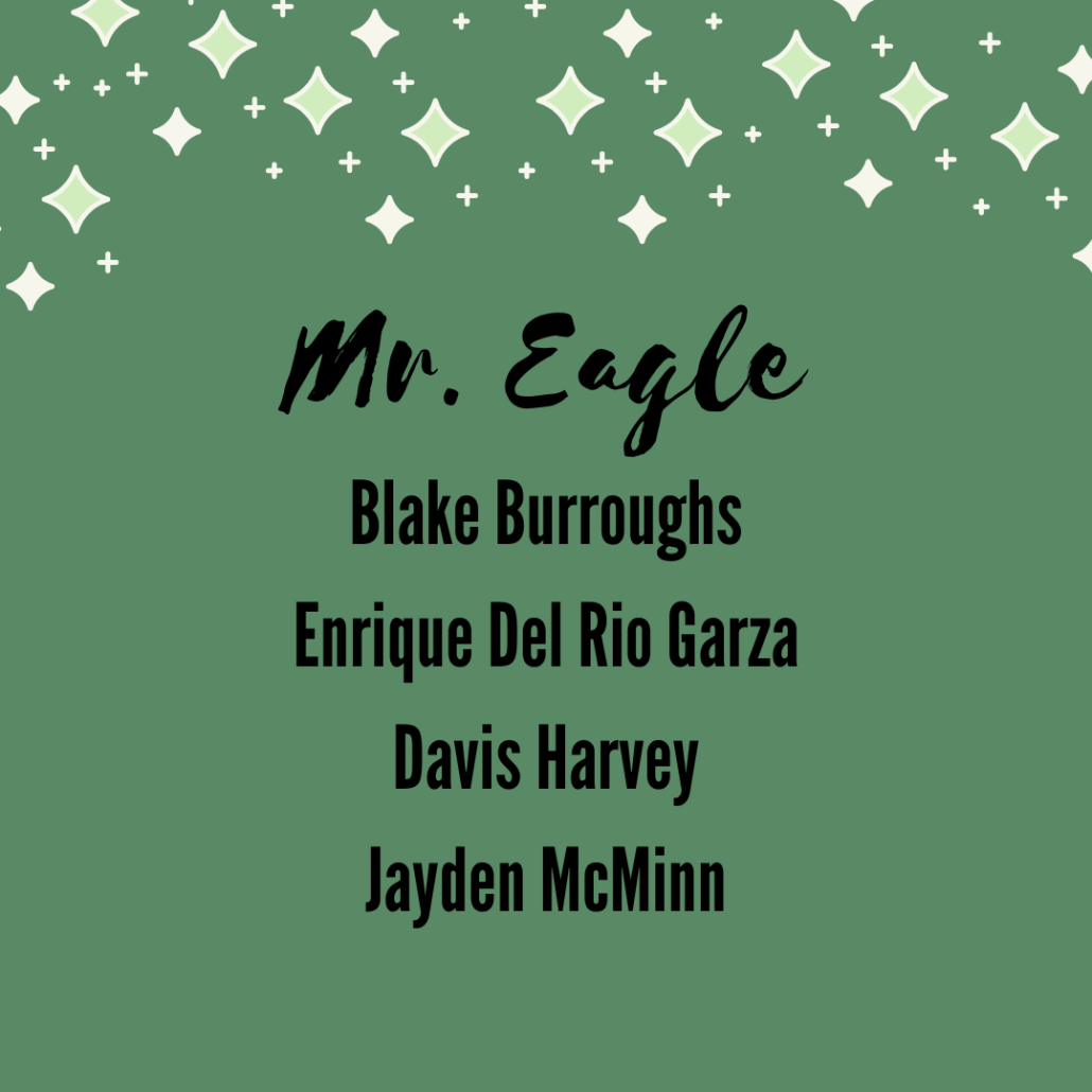 Mr. Eagle court list