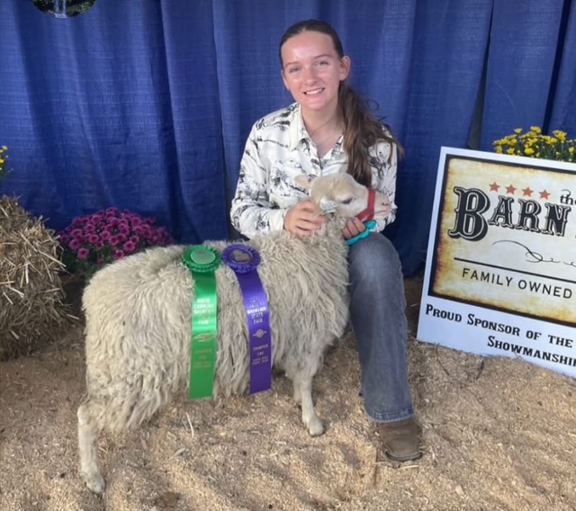 Ruby posing with sheep and ribbons