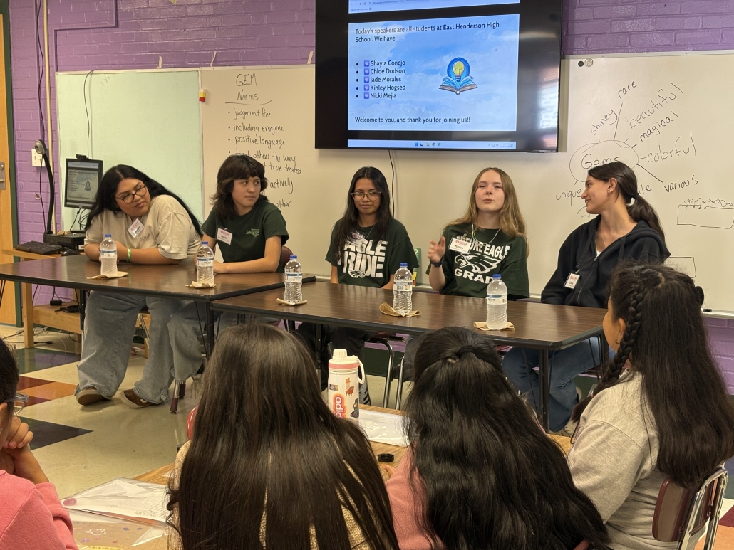 Eagle student GEM panel