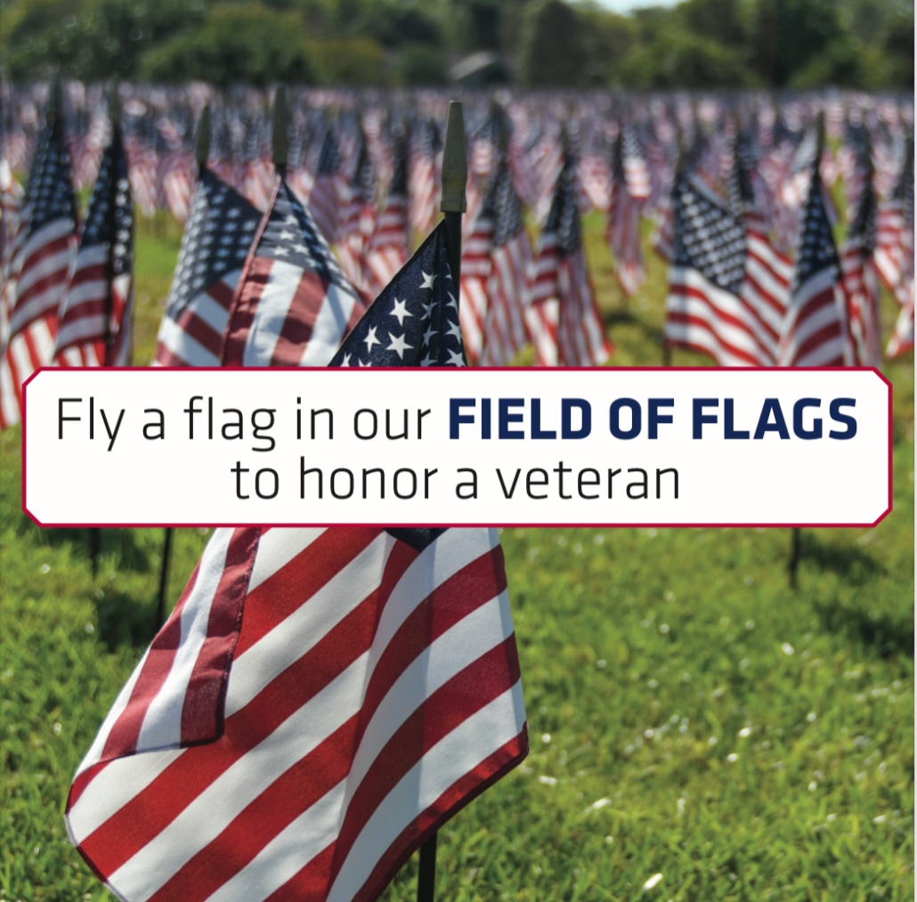 Fly a flag... text with field of flags in the background