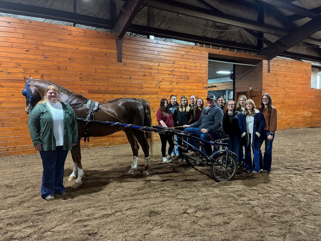 livestock team with horse cart