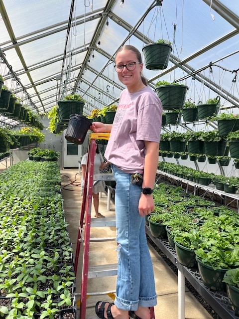 Hailey on ladder in greenhouse