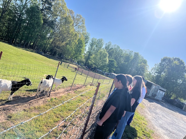 tour group out by the farm animals