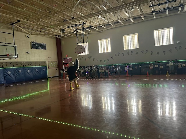 Swoop pumping up the crowd in the Upward gym