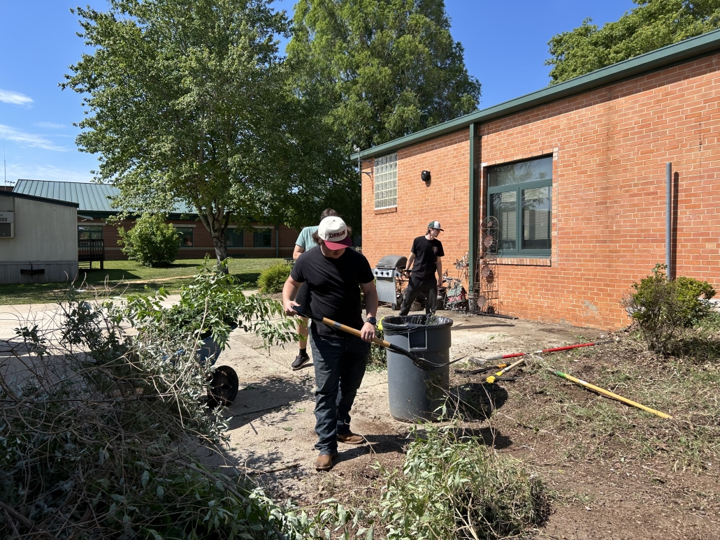 Students loading up brush and weeds into bin