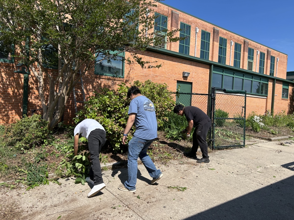 Students pulling weeds in flower bed