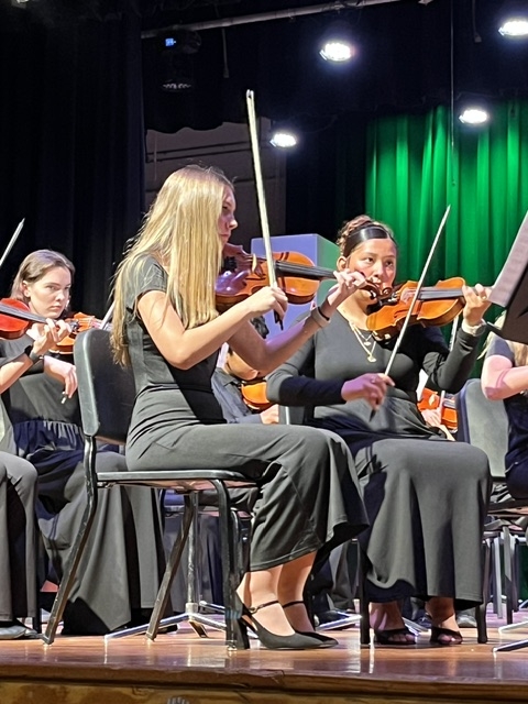Violin section playing
