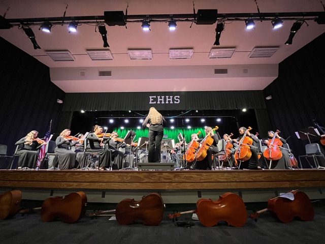 Full stage shot of orchestra performing