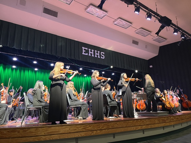 chamber violin players standing on edge of stage