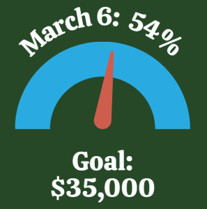 A graph showing that we are 54 percent of the way towards the fundraising goal