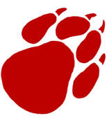 Bearcat Logo