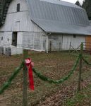 barn decorated for Christmas