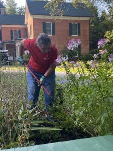 A woman with a hoe in a flower bed.