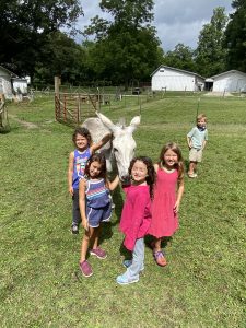 children gathered around mule at farm