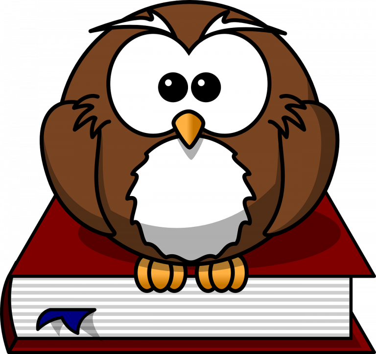 Owl Teacher