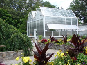 Greenhouse at Bullington