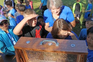 Students look for queen bee in hive