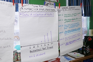 Line plot and leveled questions teacher worksheets