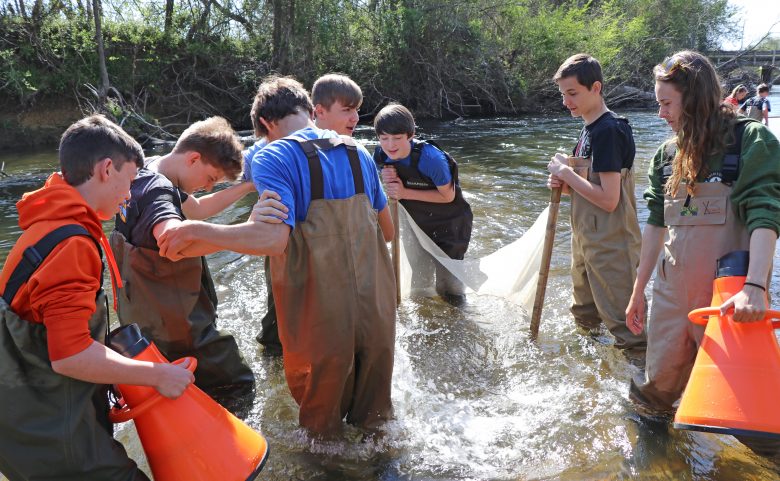 Students wade in the Mills River looking for macroinvertebrates.