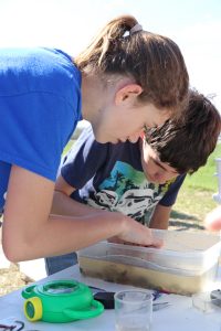 Students pick macroinvertebrates out of river water.
