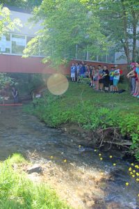 Students watch rubber ducks float down a stream.