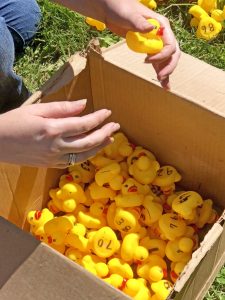 A box full of rubber ducks.