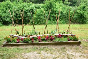 North Henderson High's garden