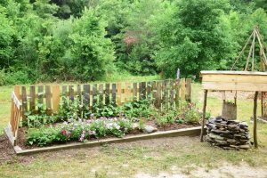 West Henderson High's garden