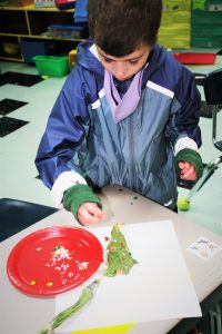 student making sugar con spruce tree