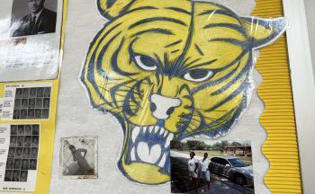 Artwork of a Tiger's head