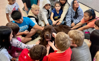 A class of students circles a therapy dog and pets it.